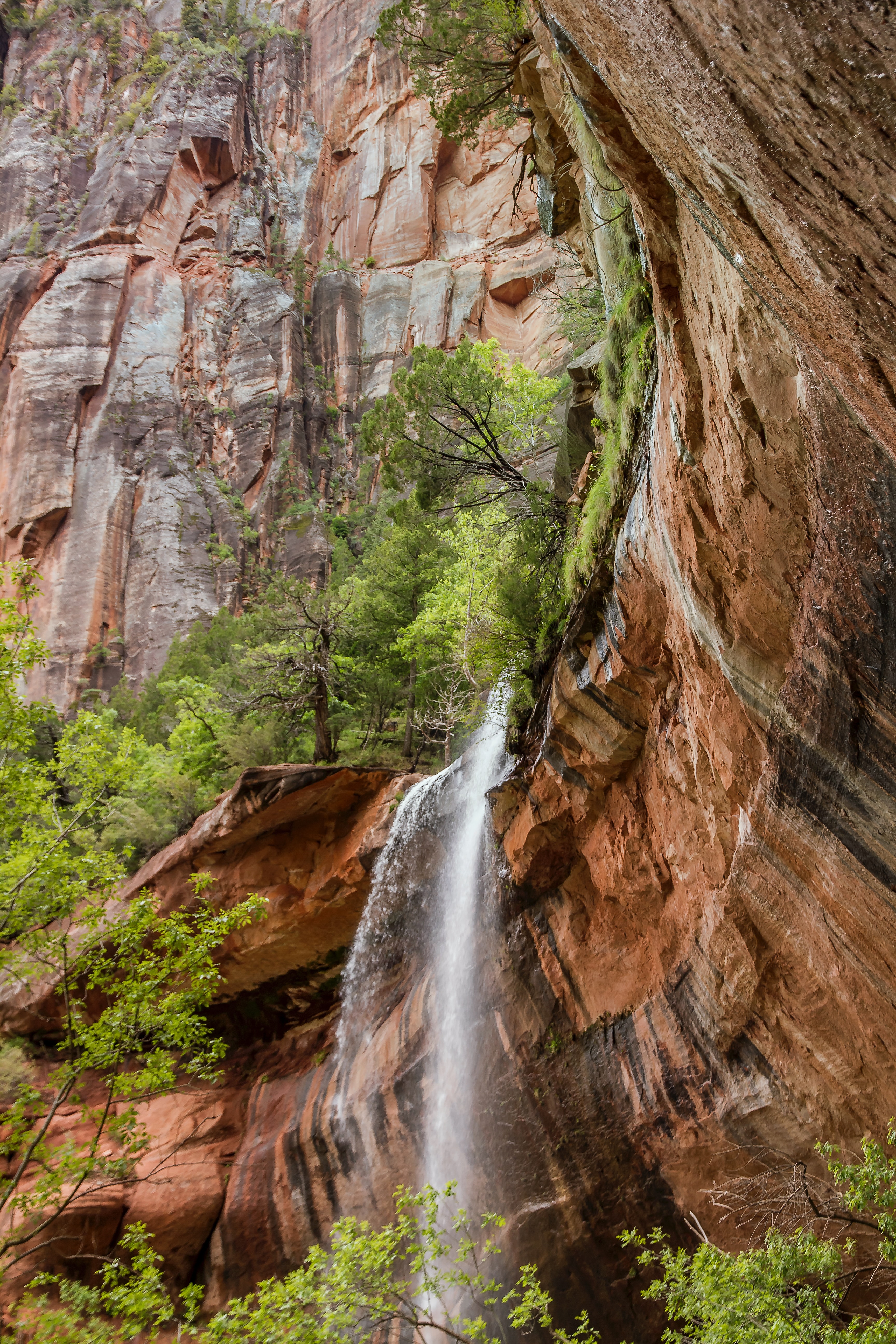 dulcey-lima-p26m299jyn4-unsplash dulcey-lima-p26m299jyn4-unsplash